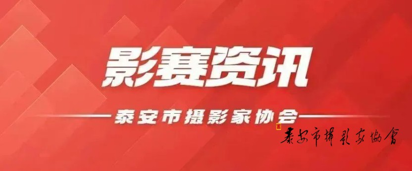 【影赛】“品泰山早席·享泰山文化”鲁菜根·“泰山早席杯”主题摄影大赛